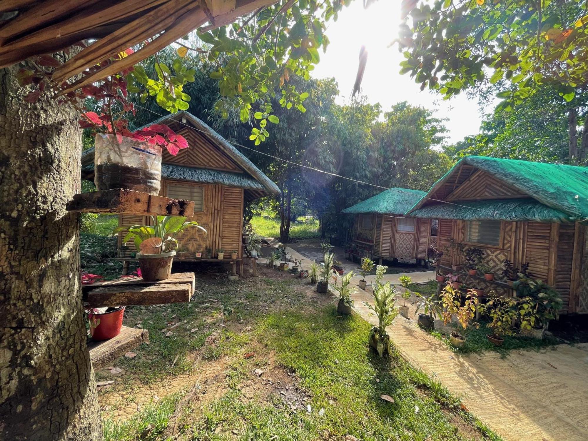 Blue Moon Guesthouse Puerto Princesa Exterior foto